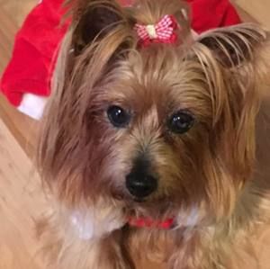 Meet your Posher, Nancy